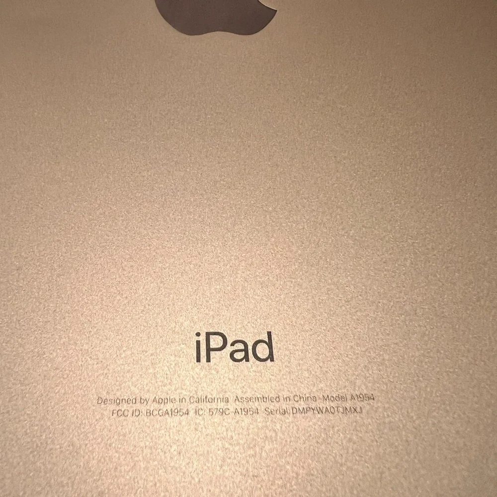 iPad 6th generation, Rose Gold Model: A1954